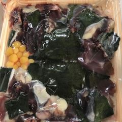 九州博多すっぽん鍋3～4人前