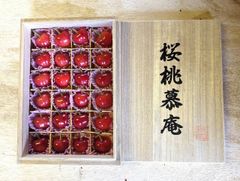 桜桃慕庵　さくらんぼ　佐藤錦プレミアム　桐箱　200g
