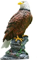 ハンドメイド　リメイク　飾り　インテリア　弓道　羽　替え羽　猛禽類　鷹の羽根 ハンドメイド リメイク 飾り インテリア 弓道 羽 替え羽 猛禽類