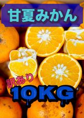 【南楽園産の訳あり甘夏みかん10kg】農園直送🍊 爽やかな初夏の甘み！堺市・南楽園の甘夏みかん（約10kg・大小混合）