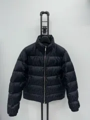 2025年最新】Christian Dior メンズ ダウンジャケットの人気