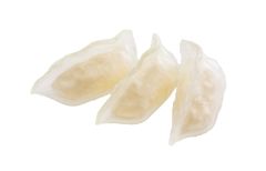 ゆで餃子プラモ 半人前 1/1スケール PS製 組み立て式プラスチックモデル 透明 