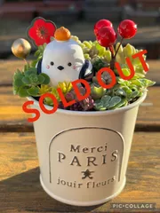 ＊多肉植物＊お正月＊七福神入り＊シマエナガ＊寄せ植え＊そのまま飾れる⭐︎