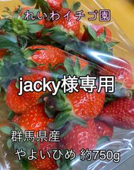 【jacky様専用】農家直送　人気のイチゴ「やよいひめ」約750g １４日以内に発送♪