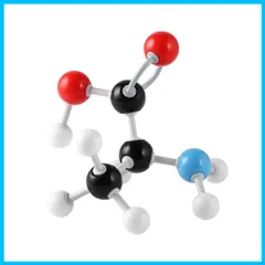 分子構造模型 U-Kiss 分子モデルセット有機と無機化学 【学生学習用】【教育用】 (240PCS)