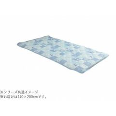 Item thumbnail for item 496792af-9f76-453d-8167-bcc952ccfdab