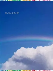 【中古】国内TVドラマDVD 夏の恋は虹色に輝く DVD-BOX [初回限定版]