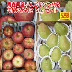 青森県産りんごサンつがる7-12玉程度・日面紅ひめんこ5-10玉程度　合計５ｋｇセット