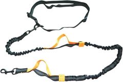 Item thumbnail for item 45805ee1-f047-4243-b176-0aa9dcd3253b