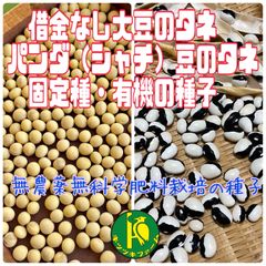 借金なし大豆のタネとパンダ菜豆のタネ　各15粒　固定種・無農薬無化学肥料栽培の種子