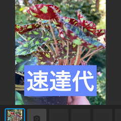 速達代
