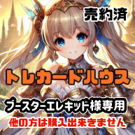 ブースターエレキッド様専用