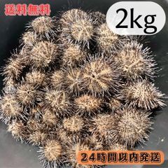冷凍カメノテ10kg  石鯛　黒鯛　コブダイ　釣り餌 冷凍カメノテ10kg 石鯛 黒鯛 コブダイ 亀の手 釣り餌 - メルカリ