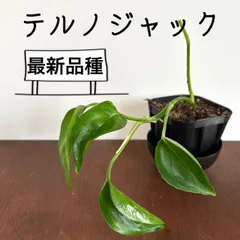 2024年最新】育成ライト 植物 ledの人気アイテム - メルカリ