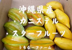 沖縄県産 ・カニステル450g ・スターフルーツ450g