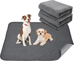 Item thumbnail for item 17dde776-e548-48a4-b198-92e012fe0df6