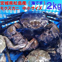 活 モクズガニ 海で漁獲品 小中サイズ２kg(目安 20-40杯) ツガニ つがに 宮城県松島湾産 なんと海です！店長が漁獲品です 配送地域限定品 他に大サイズも出品中 もくずがに「活 モクズガニ　小中サイズ２kg」【100】