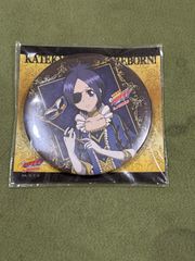 原神 ホヨフェア HoyoFair レンチキュラーカード リオセスリ