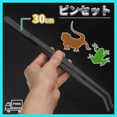 Item thumbnail for item 632659c4-b5cc-4902-a96b-299706a5ac0d