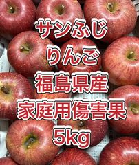 サンふじ　りんご　福島県産　家庭用傷害果　5kg