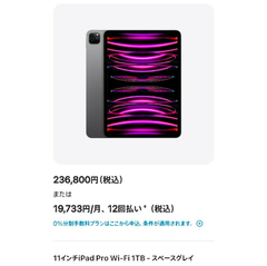 【未使用】iPad Pro 11インチ 第4世代 1TB Wi-Fiモデル M2 メモリ16GB