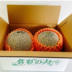 糖度19!! 「太陽の華」富良野メロン 2玉 品種：ティアラ - メルカリ