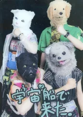 2025年最新】わんちゃんわんわんねこにゃんにゃんの人気アイテム