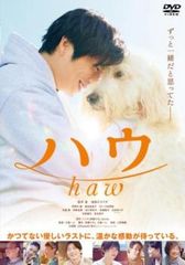 全巻セット【中古】DVD▼確証 警視庁捜査3課(6枚セット)第1話～最終話 レンタル落ち 全巻セット【中古】DVD▽確証 警視庁捜査3課(6枚セット)第1話