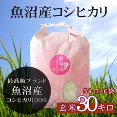 魚沼産 コシヒカリ 玄米 30kg（5kg×6袋）新潟 魚沼産こしひかり 産地直送 お祝い、ギフト、贈答に ご自宅、ご家庭、お弁当にも 新米