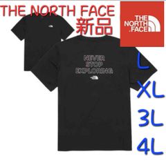 THE NORTH FACE ノースフェイス 新品 Tシャツ 半袖 トップス ロゴ クール感