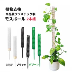 2024年最新】蔓性植物の人気アイテム - メルカリ