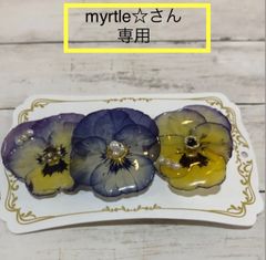 ハンドメイドアクセサリーまとめ売り(myrtle☆さん、専用)