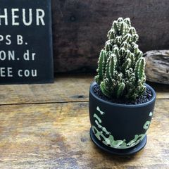 パリジェンヌ♡植物販売 パリジェンヌ - メルカリShops