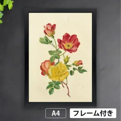 アントワネット・ルーデン「野ばらの小枝（Takje wilde rozen）」　19世紀頃　ボタニカルアート　オランダ　植物画　インテリア グラフィック アートポスターA4 マット【フレーム付】《IN》のサムネイル
