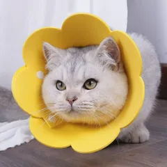 【獣医師推奨】Apettogo エリザベスカラー 猫 犬 ソフト 軽量 防水 傷舐め防止 引っ掻き防止 傷口保護 手術後のケア