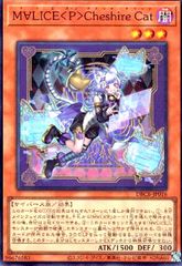 M∀LICE P Cheshire Cat(슈퍼)