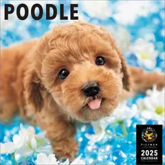 PICTWAN(ピクトワン) 【L版】 プードル 2025年 カレンダー CL25-1222