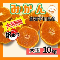 2025年最新】みかんの人気アイテム - メルカリ