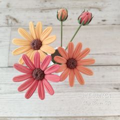 UCcS7aCbbeezKdmjUFU5ii.jpg@jpg