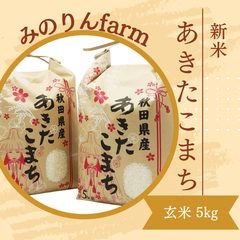令和5年秋田県産 あきたこまち玄米5kg
