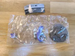 2025年最新】タマミツネ 希少種の人気アイテム - メルカリ