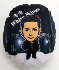 三代目 J SOUL BROTHERS  登坂広臣　クッション② 三代目 J SOUL BROTHERS 登坂広臣 ミニクッション - メルカリ