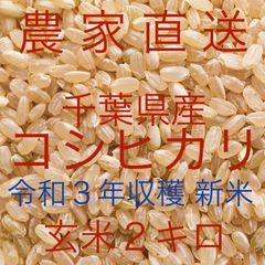 【農家直送】新米！令和３年収穫 千葉県産コシヒカリ 玄米 ２キロ