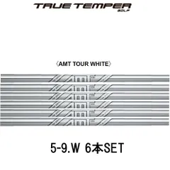 シャフト アイアン用 トゥルーテンパー AMT ツアー ホワイト スチール アイアン (単品)
