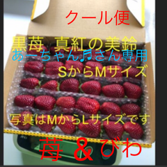 苺&びわ