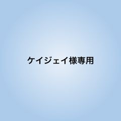 ケイジェイ様専用