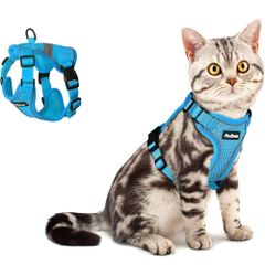 Item thumbnail for item 09d24a0f-8e77-4623-99be-21471341b4fd