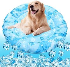 Item thumbnail for item e3e69ebf-86e3-4c20-a9e5-b3d3d291b9f5