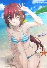 DEADORALIVE3 KASUMI(霞　かすみ)　オリジナル水着ver. DEADORALIVE3 KASUMI(霞 かすみ) オリジナル水着ver. - メルカリ