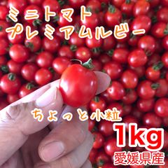 小粒ミニトマト 1kg 農家直送　プチトマト トマト プレミアムルビー